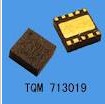 供应原装TQM713019-TQM713019尽在买卖IC网