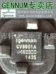 GV8601A-INE3 专营GENNUM进口原装正品假一赔十-GV8601A-INE3尽在买卖IC网